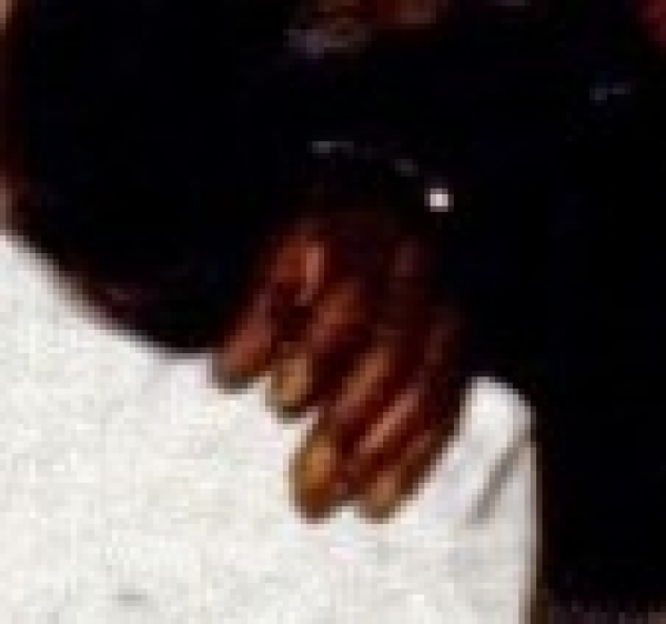 Close-up of Barack Obama Sr.’s left ‘hand’ resting on the shoulder of Stanley Ann Dunham. (Image enlarged from AP image)