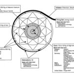 Beach Ball White Diagram